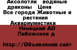 Аксолотли / водяные драконы › Цена ­ 500 - Все города Животные и растения » Аквариумистика   . Ненецкий АО,Лабожское д.